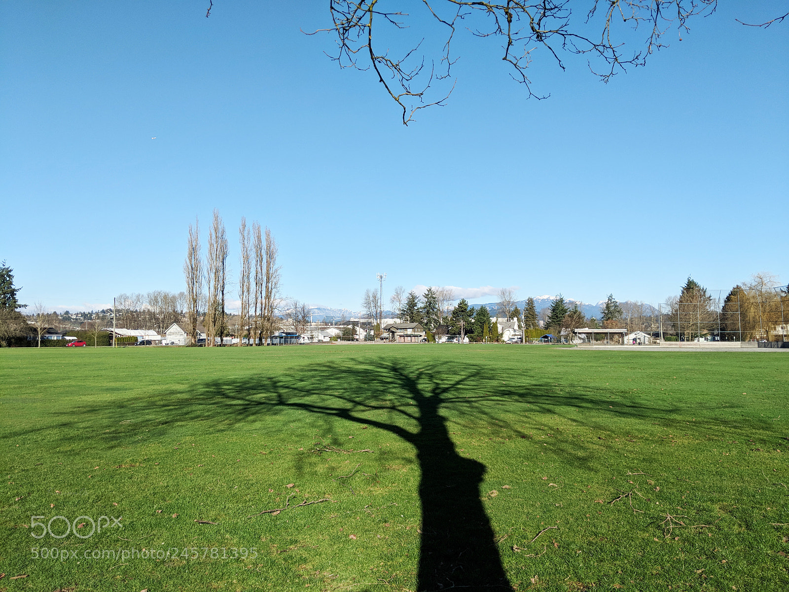 Google Pixel 2 sample photo. Shadow photography