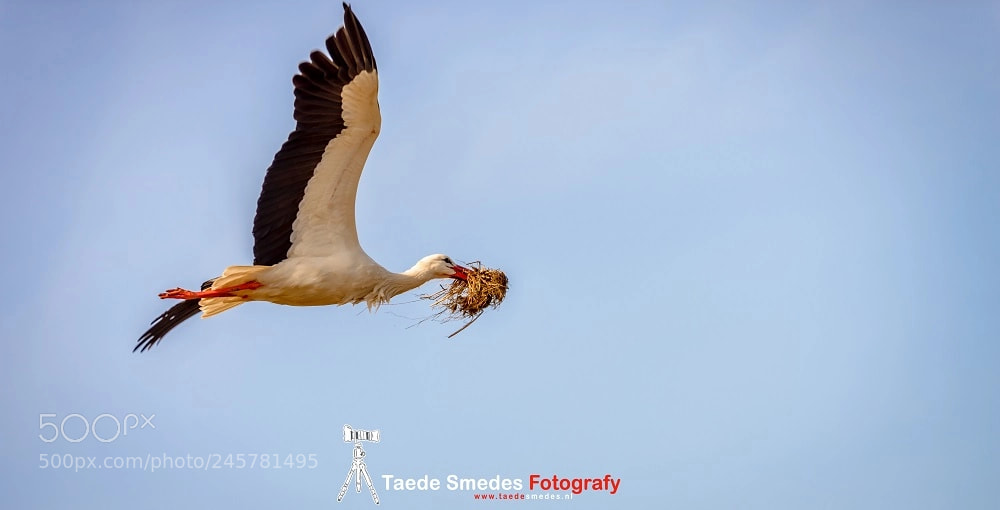 Nikon D610 sample photo. Hier met mijn toupet photography