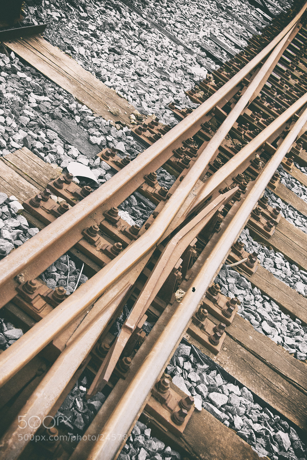 Nikon D810 sample photo. Rails cross photography