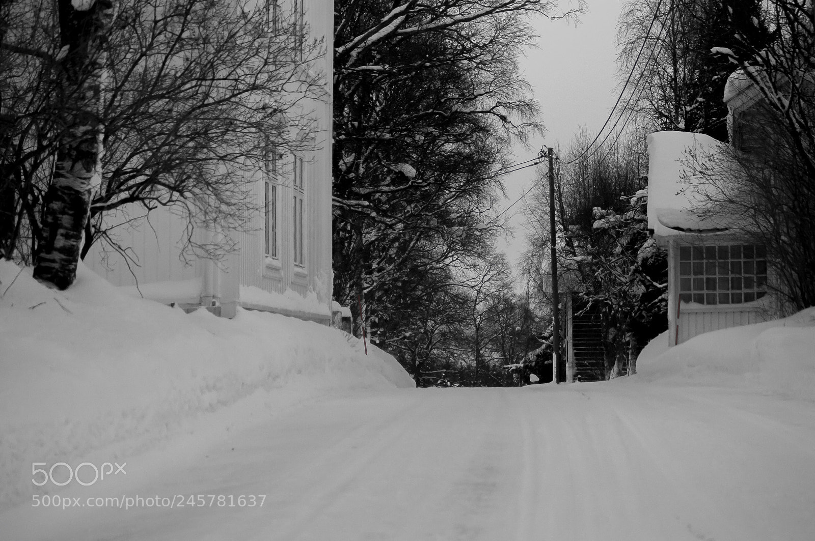 Canon EOS-1D Mark II sample photo. Over the hill photography