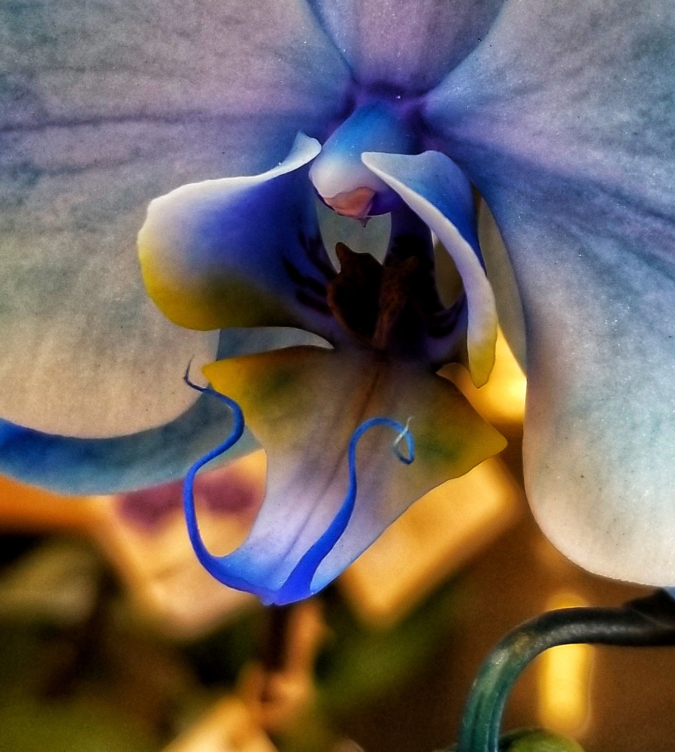 Samsung Galaxy S8 Active sample photo