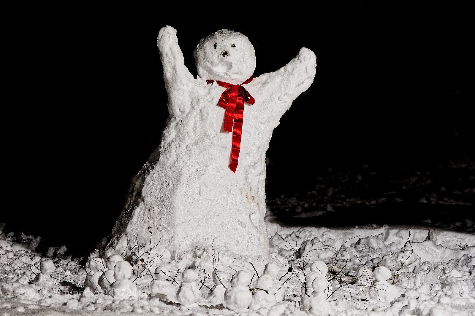 Nikon D7200 sample photo. Snowman photography
