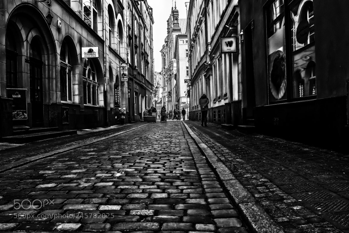 Nikon D500 sample photo. Poznan, poland 4 photography