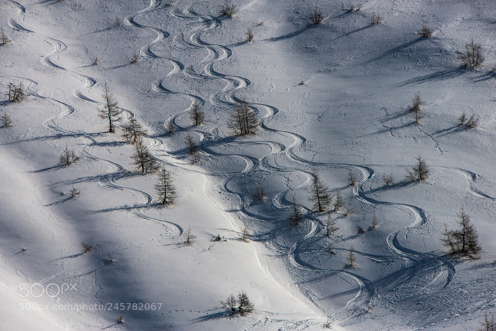 Nikon D610 sample photo. Off piste photography