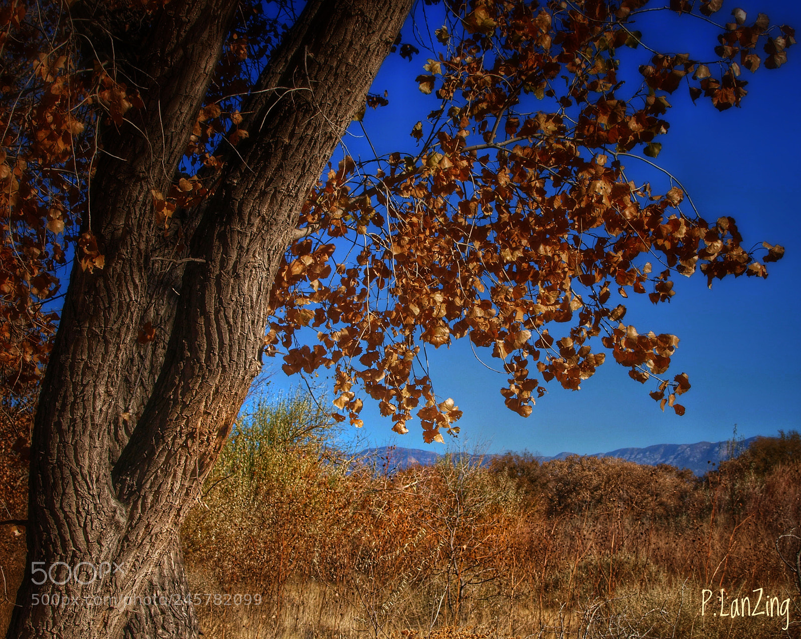 Olympus E-3 sample photo. On the rio grande photography