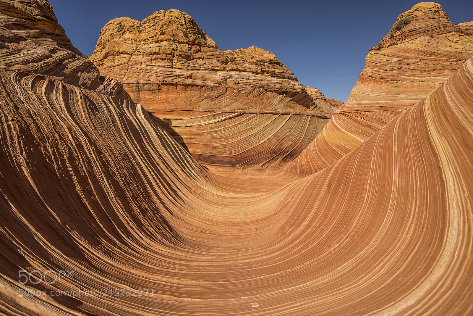 Nikon D610 sample photo. The wave photography