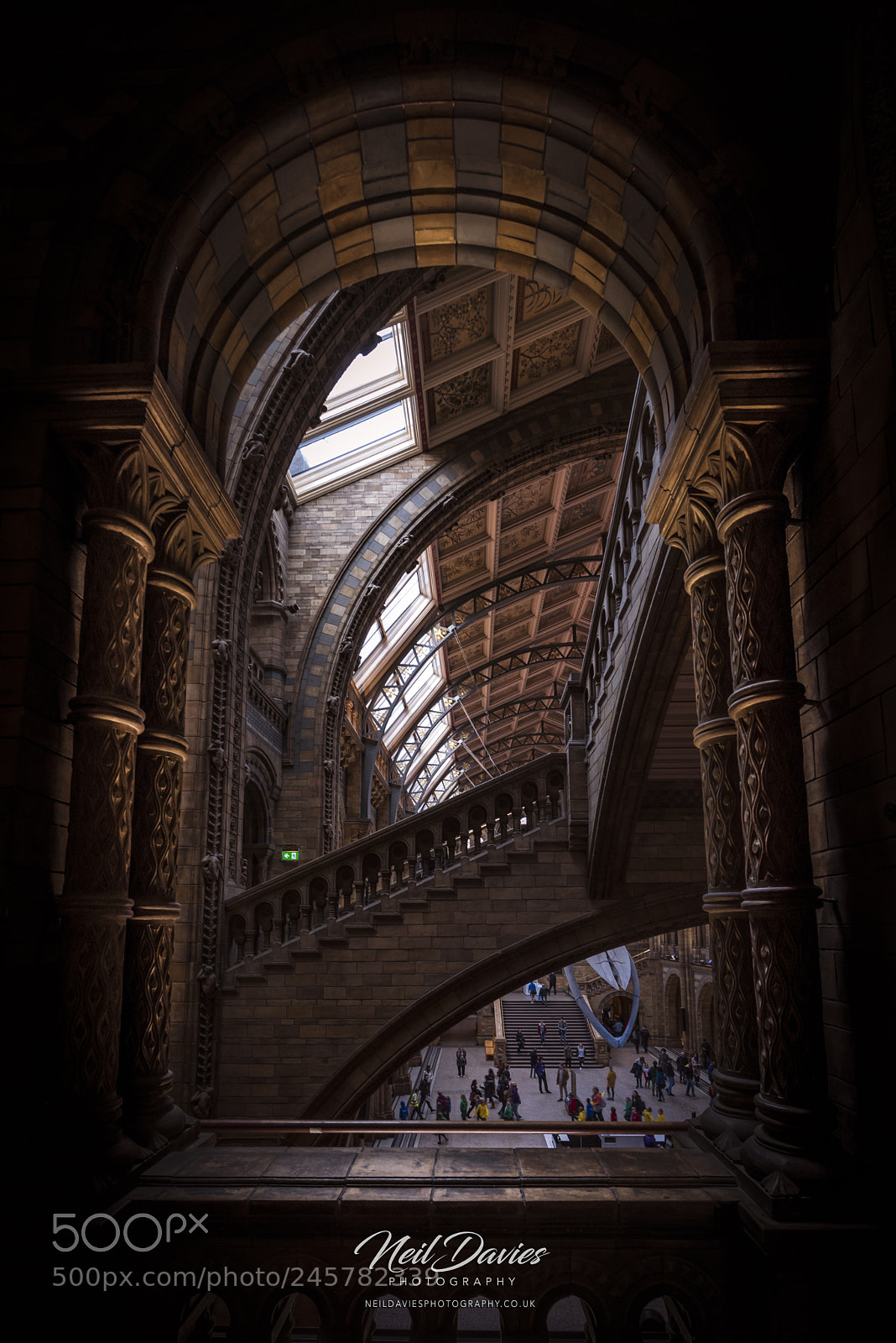 Nikon D810 sample photo. Untitled photography