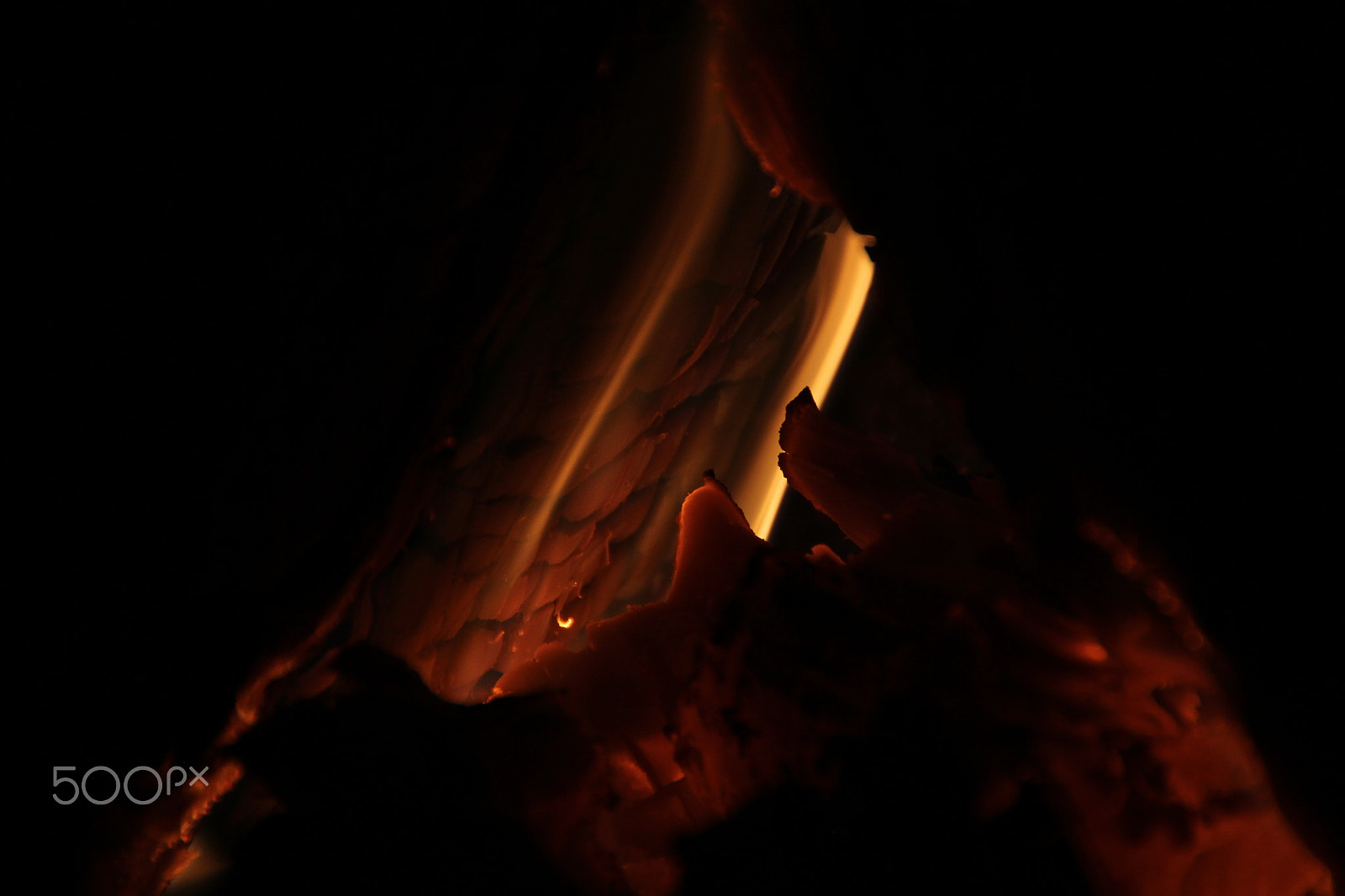 Canon EOS 60D sample photo. Img photography