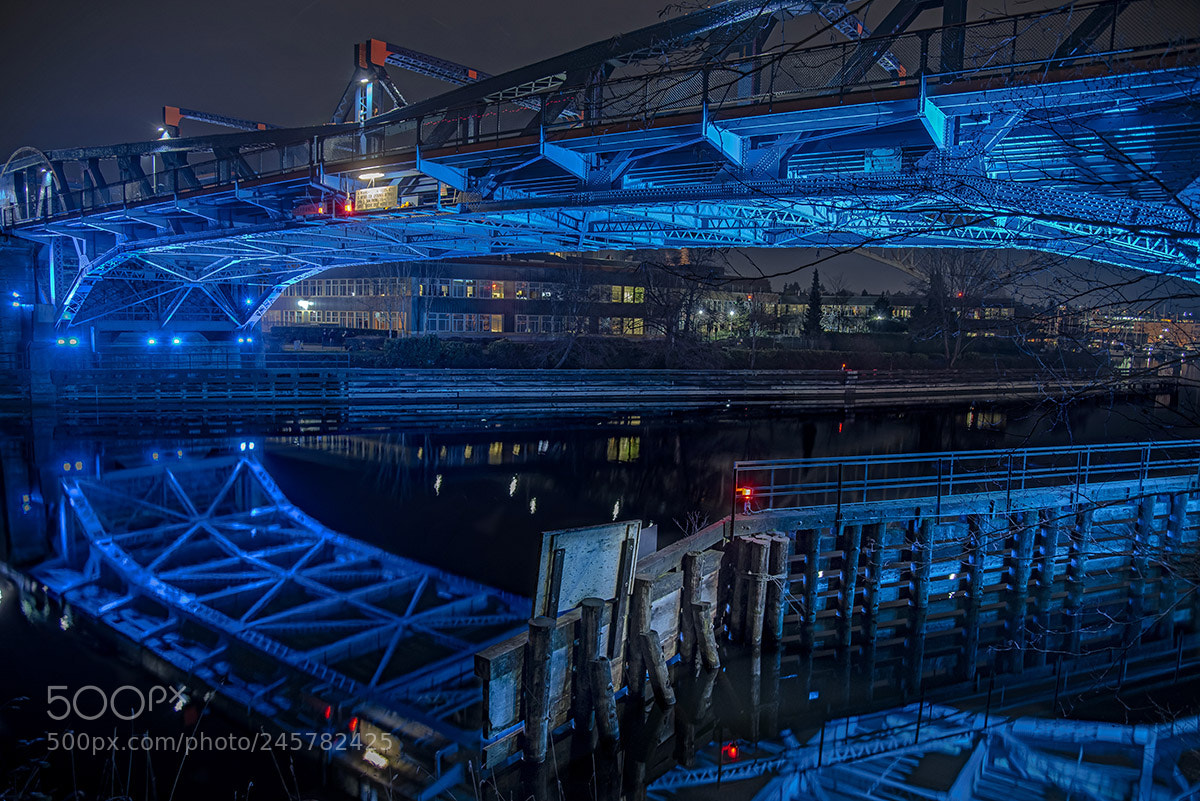 Nikon D810 sample photo. Fremont bridge photography