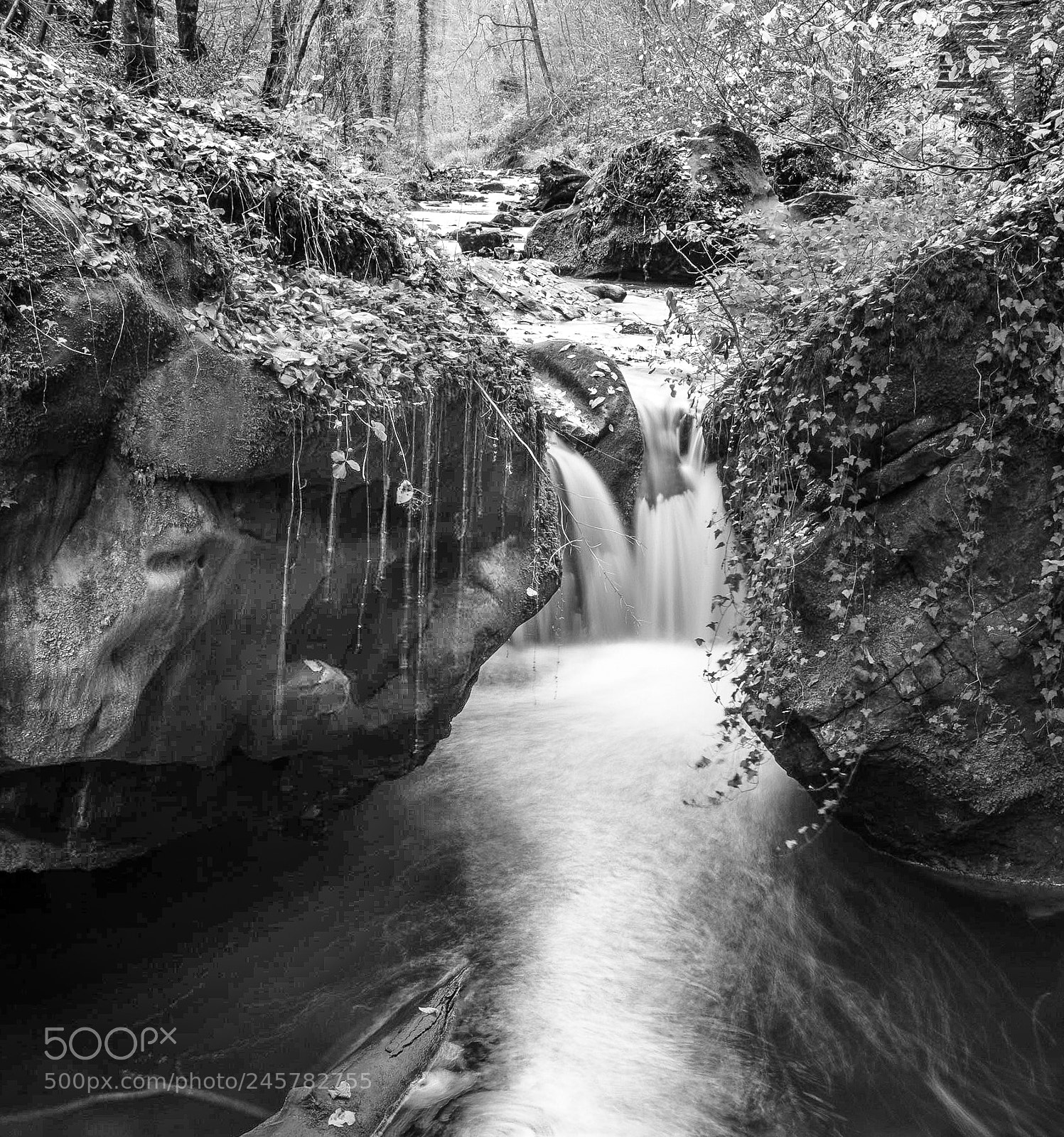 Fujifilm X-T2 sample photo. Mullerthal photography