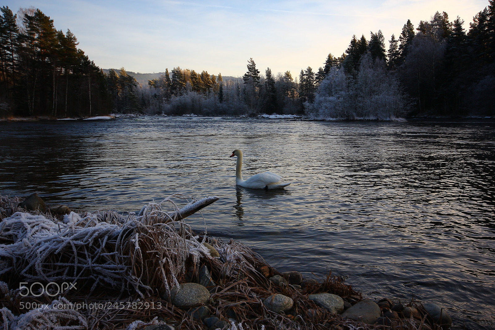 Canon EOS 60D sample photo. Lonely photography