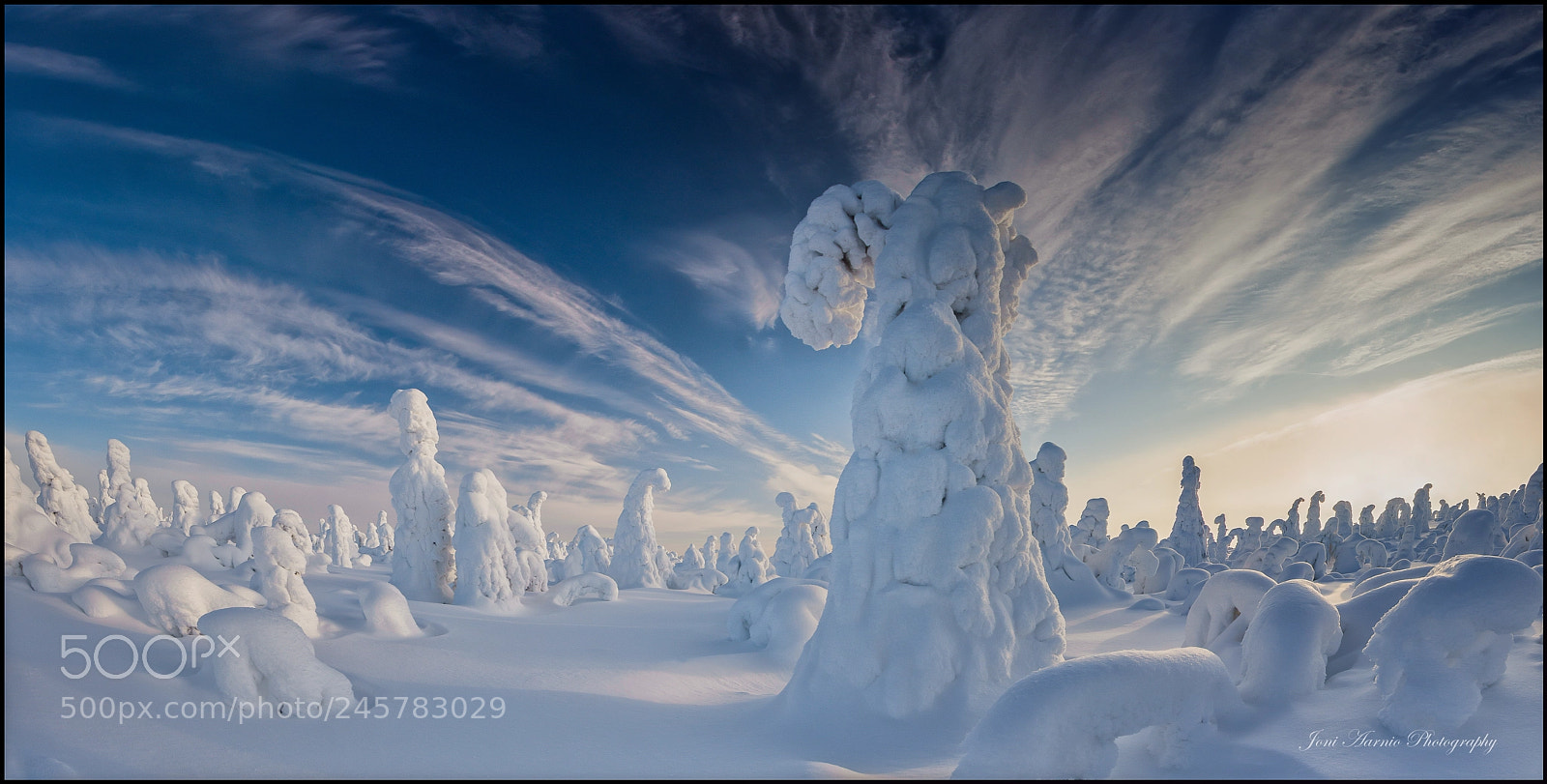 Nikon D7200 sample photo. Winter farytale photography