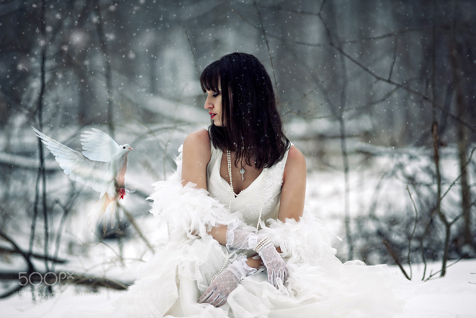Nikon D610 sample photo. Winter dreams photography