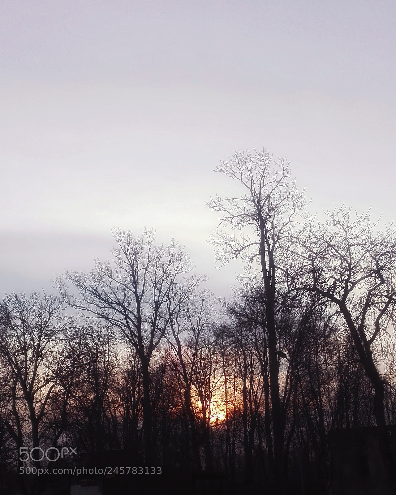 HUAWEI P8 Lite sample photo. Untitled photography