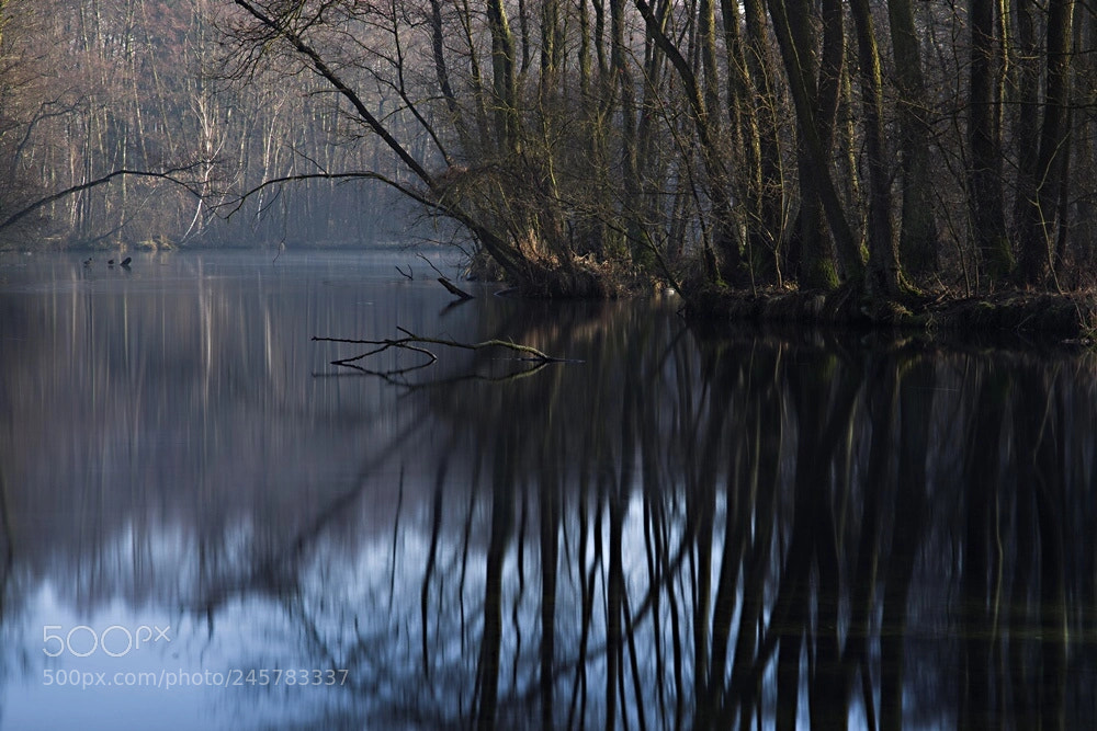 Pentax K-1 sample photo. "blue springs" nature reserve photography