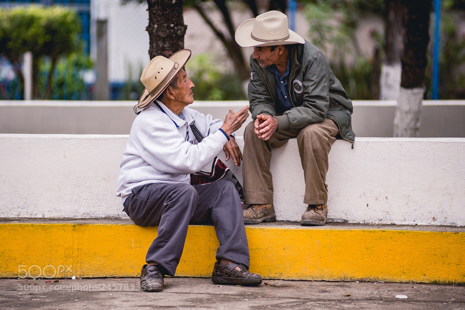 Nikon D610 sample photo. Old friends photography