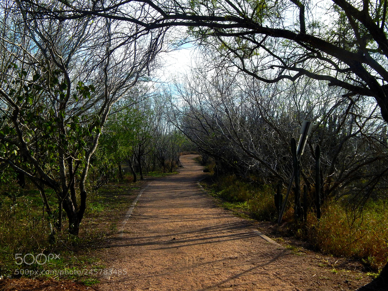 Nikon Coolpix L820 sample photo. Long and winding road photography