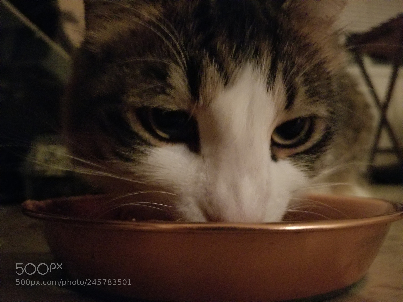 Samsung Galaxy S8 sample photo. Untitled photography