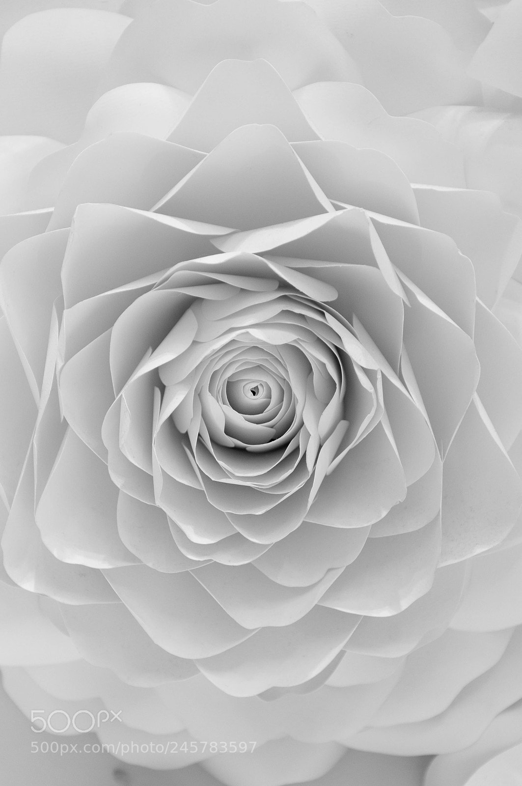 Nikon D90 sample photo. Paper flower petals photography