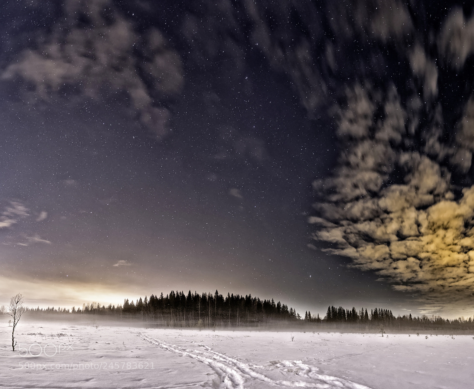 Nikon D7200 sample photo. H mm auteensuo bog photography