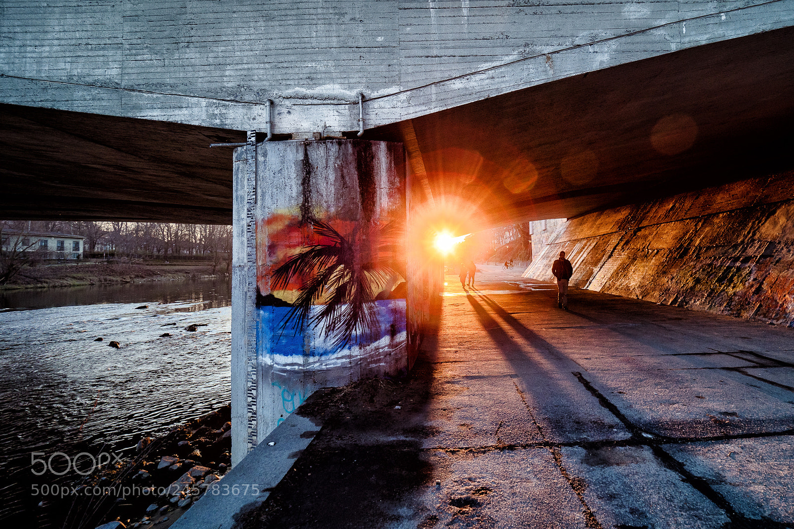 Olympus OM-D E-M1 Mark II sample photo. Flare photography