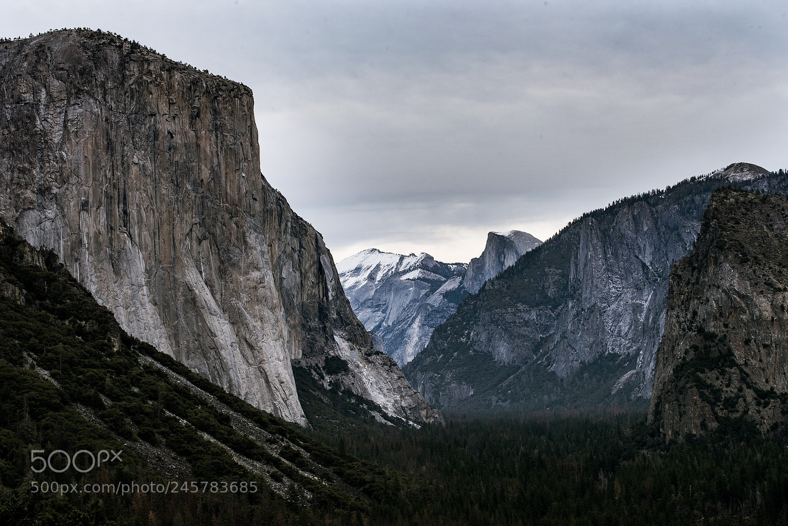 Nikon D810 sample photo. The iconic tunnel view photography
