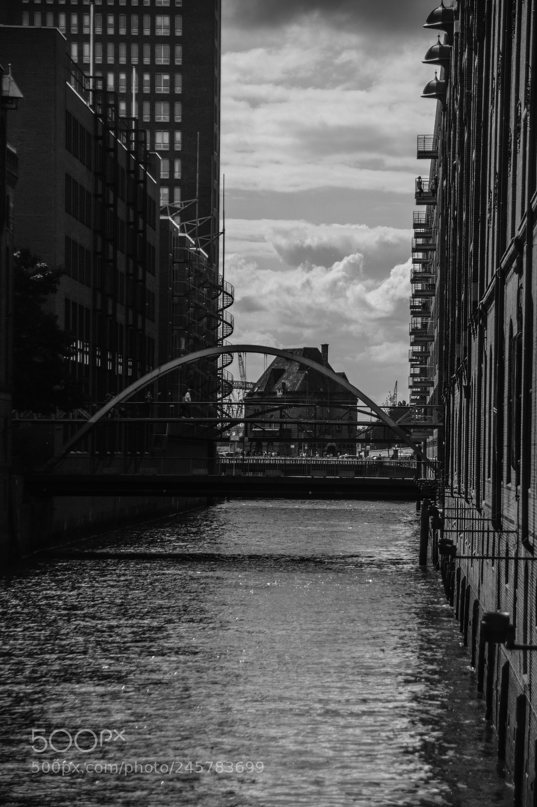 Nikon D3200 sample photo. Copyright photo robert hamburg photography