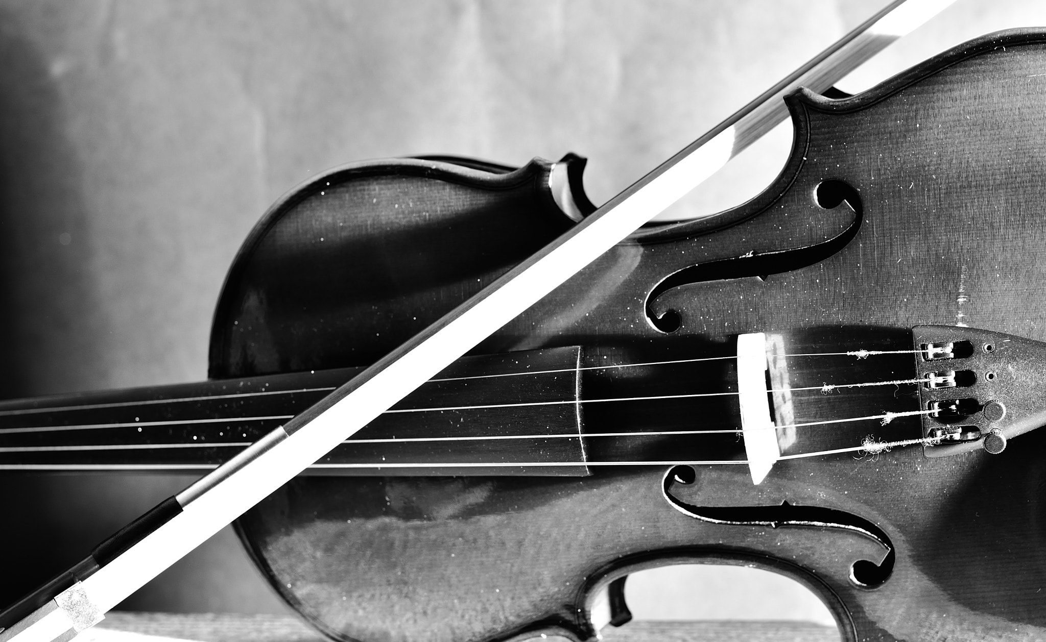Nikon D5200 + Nikon AF-S Nikkor 50mm F1.8G sample photo. Violine photography