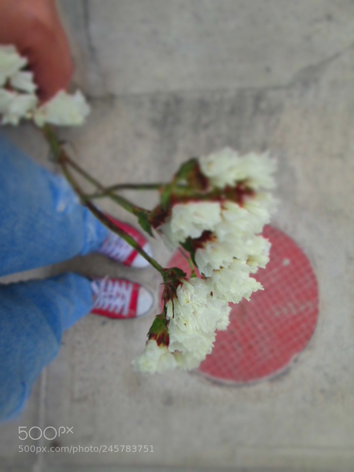 Canon PowerShot A2300 sample photo. •at your feet photography