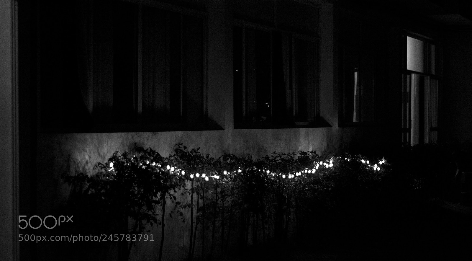 Nikon D5200 sample photo. Untitled photography
