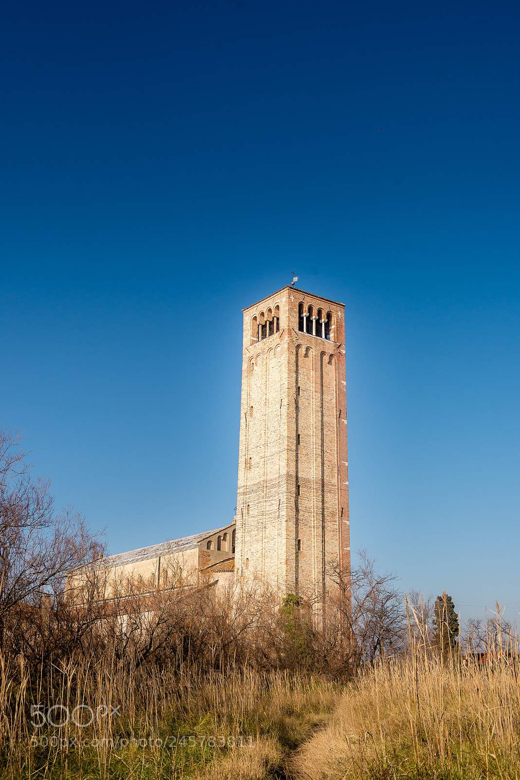 Nikon D610 sample photo. Basilica di santa maria photography