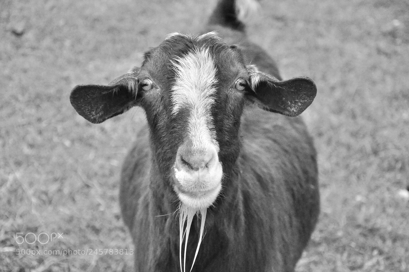 Nikon D90 sample photo. Dsc photography