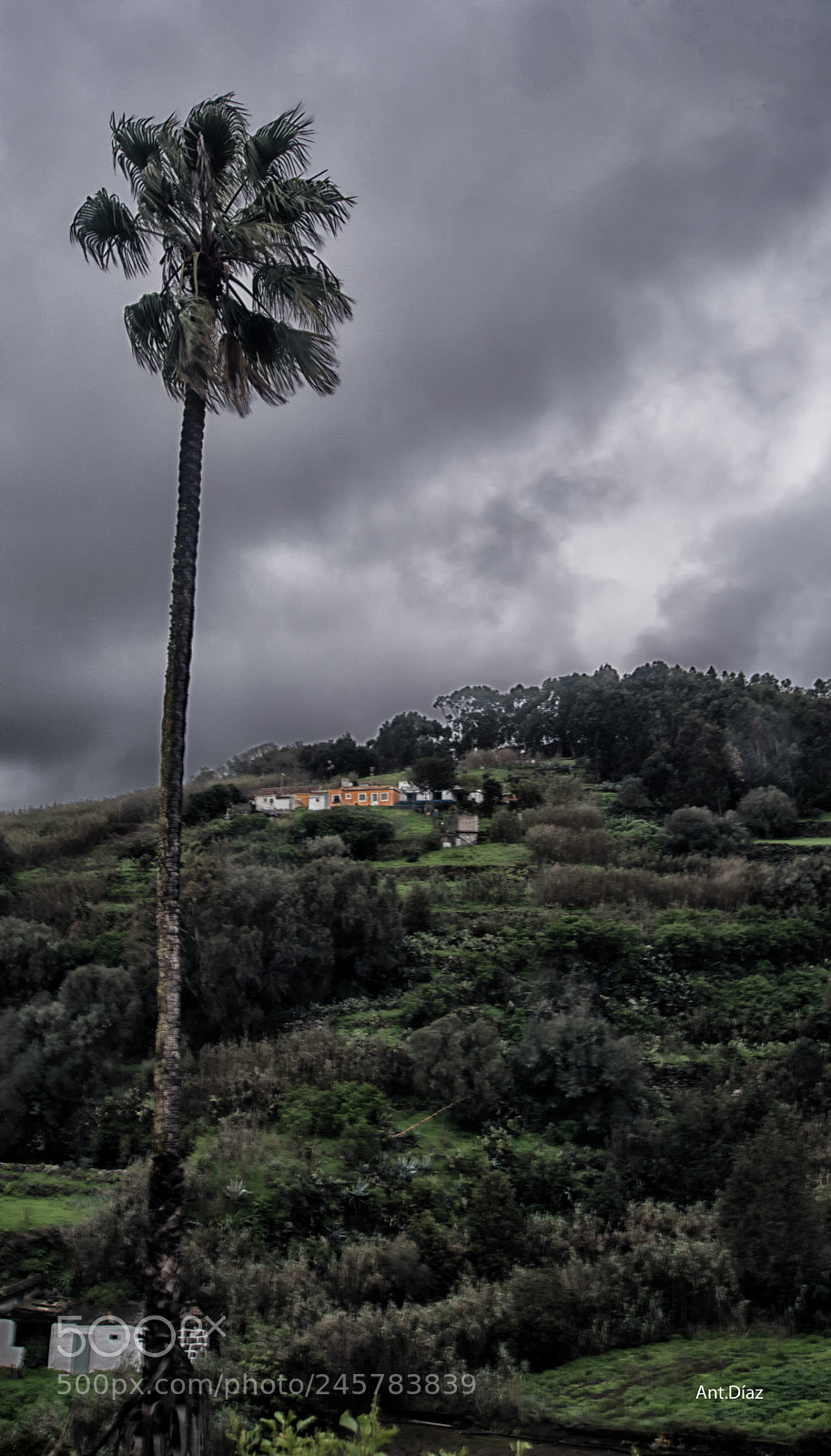 Nikon D7100 sample photo. Gran canaria-canary island photography