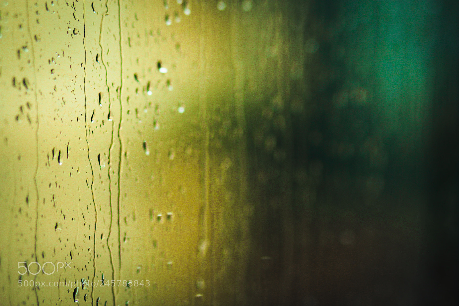 Canon EOS 60D sample photo. Rainy day. photography