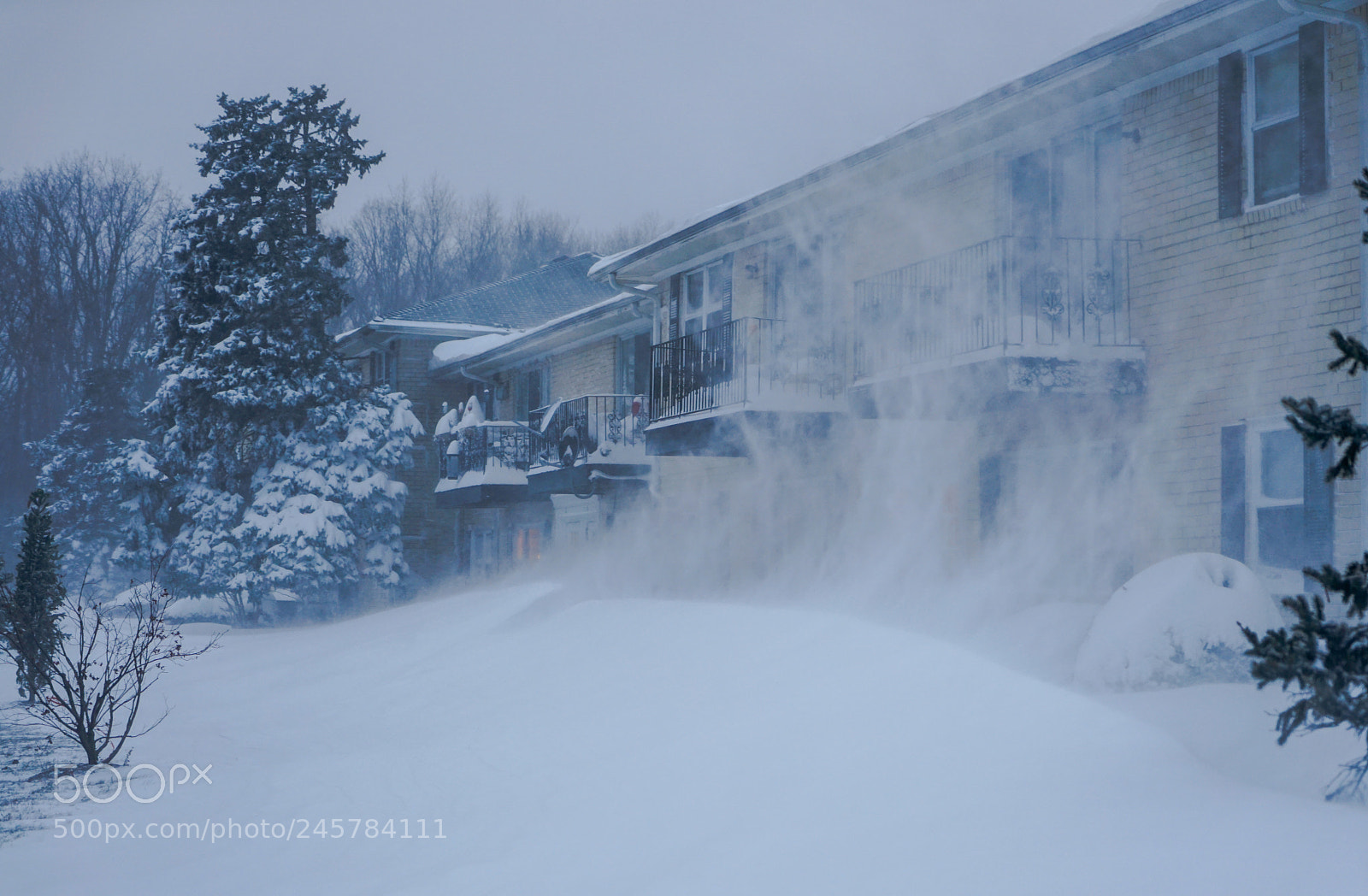 Sony a7 II sample photo. Snow day. photography