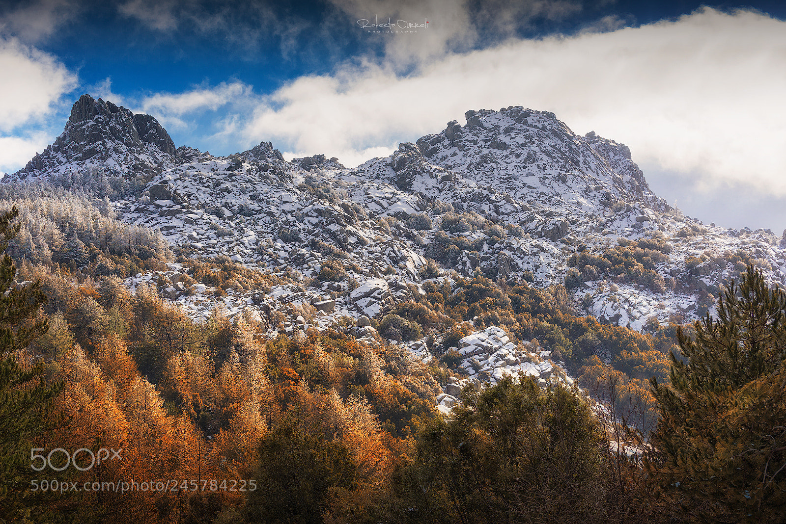 Nikon D610 sample photo. :::snow ascension::: photography