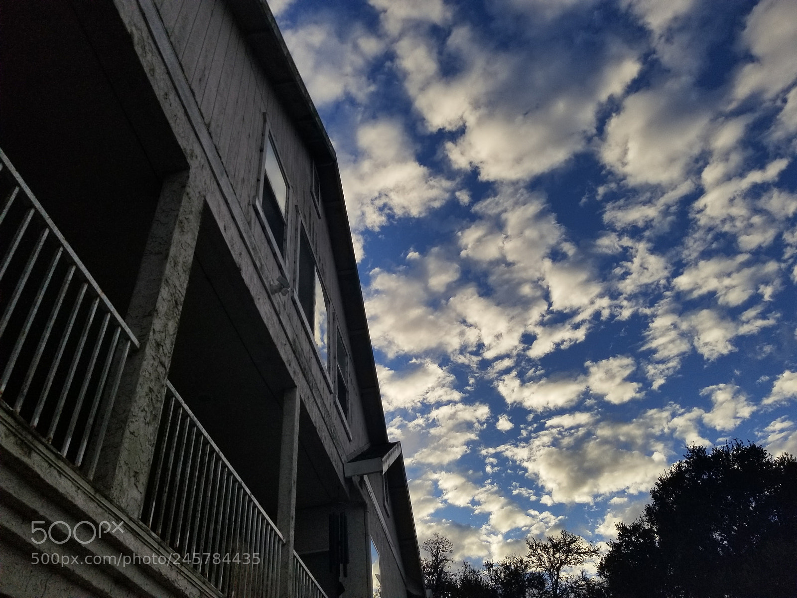 Samsung Galaxy S8 sample photo. Untitled photography