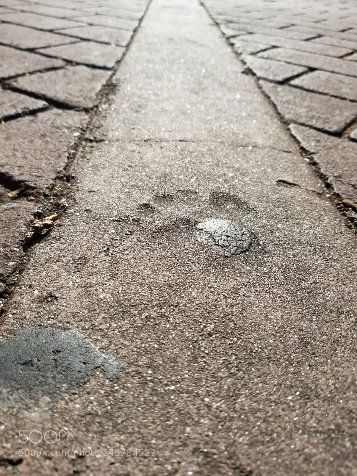 Samsung Galaxy S8 sample photo. Untitled photography
