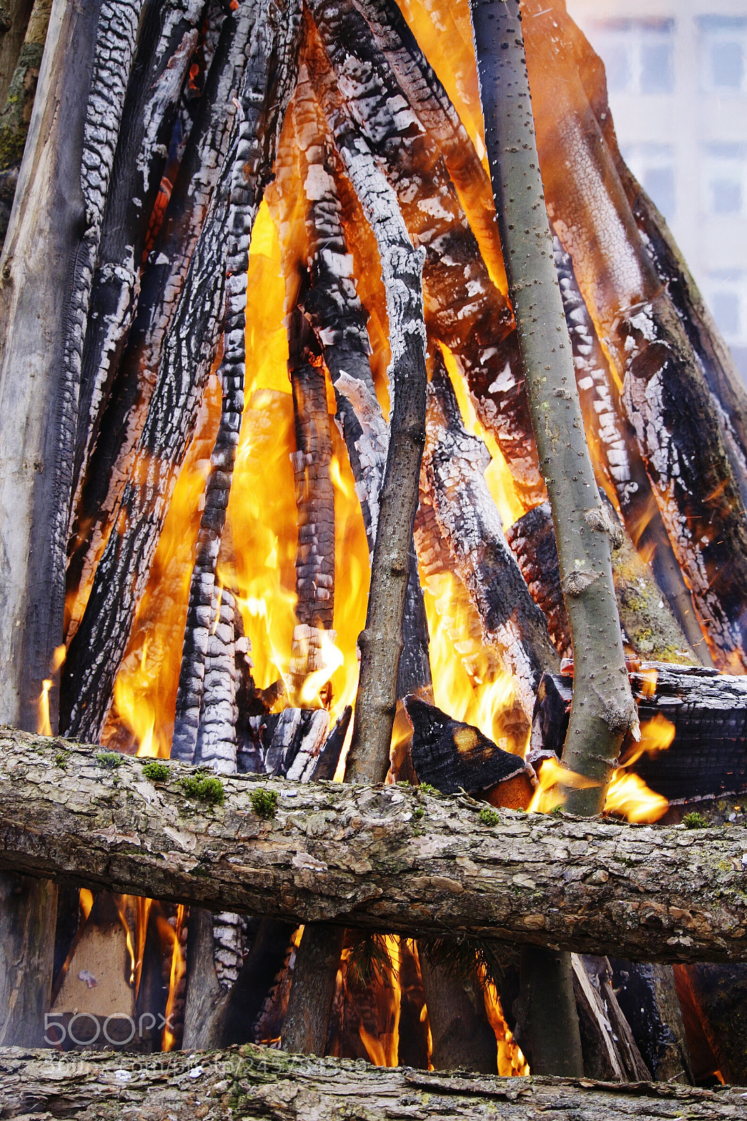 Canon EOS 500D (EOS Rebel T1i / EOS Kiss X3) sample photo. Bonfire photography