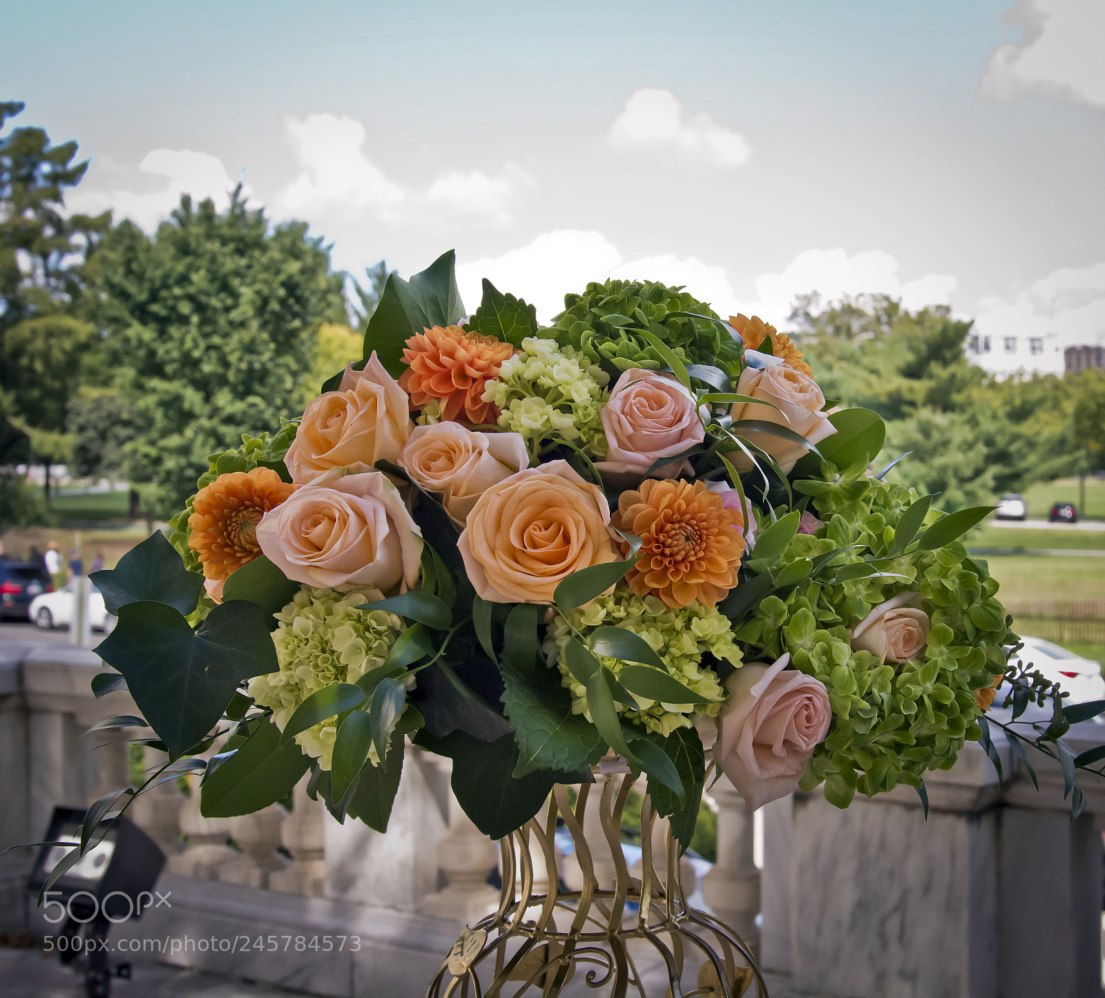 Nikon D7100 sample photo. B photography