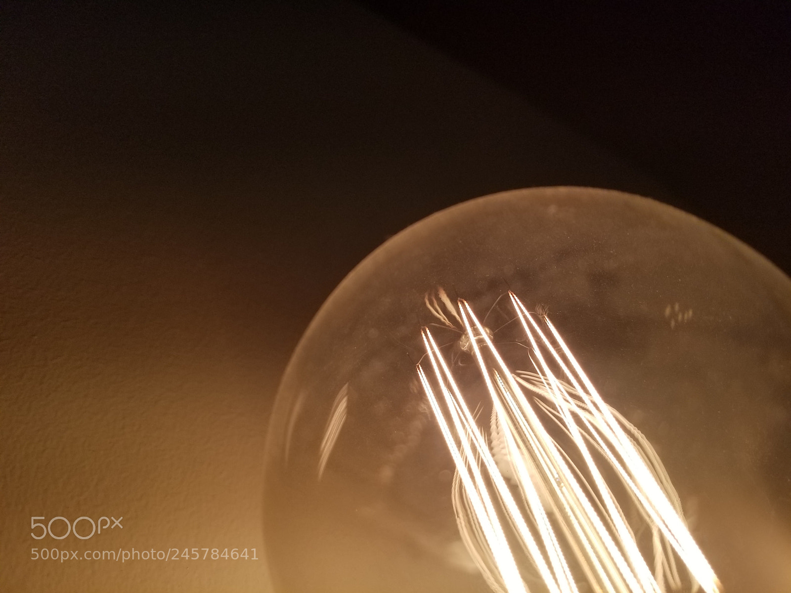 Samsung Galaxy S8 sample photo. Untitled photography