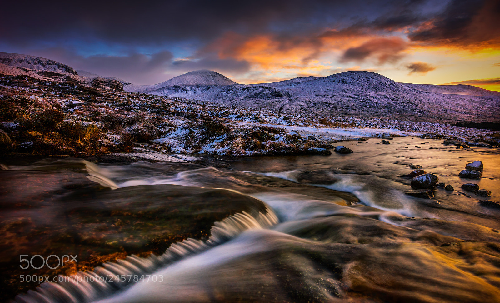 Nikon D810 sample photo. Winter light photography