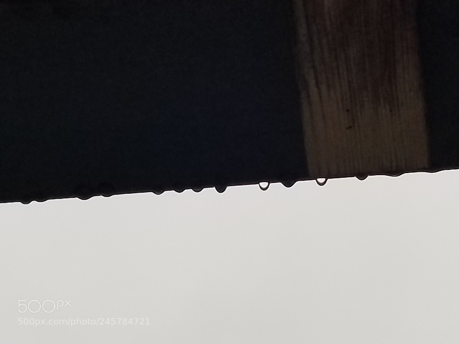 Samsung Galaxy S8 sample photo. Untitled photography
