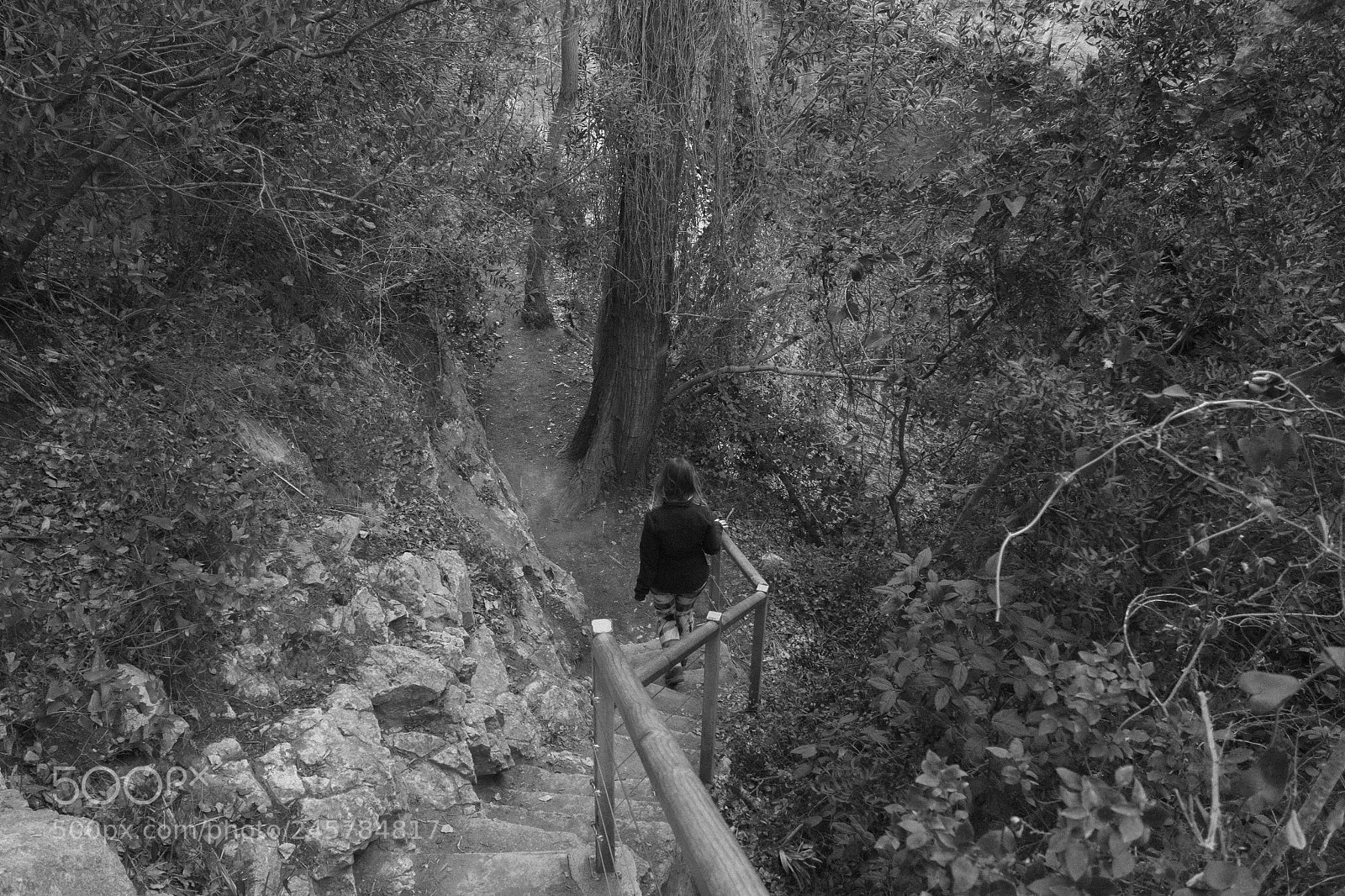 Olympus OM-D E-M10 II sample photo. Stairways to... photography