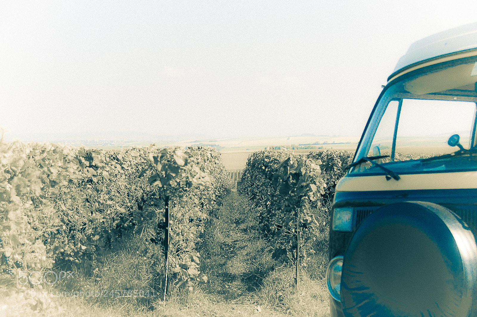 Nikon D300 sample photo. Classic car, classic wine photography