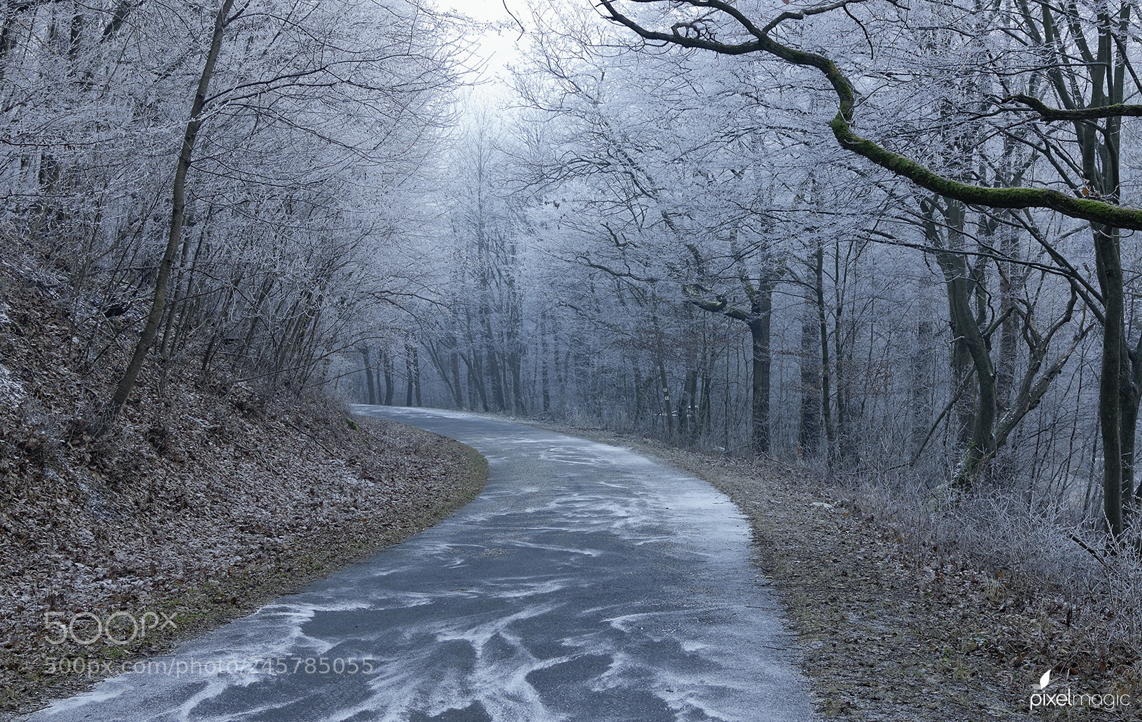 Nikon D90 sample photo. The way of fear photography