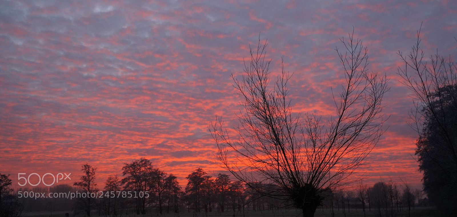 Sony Alpha NEX-6 sample photo. Red skies photography