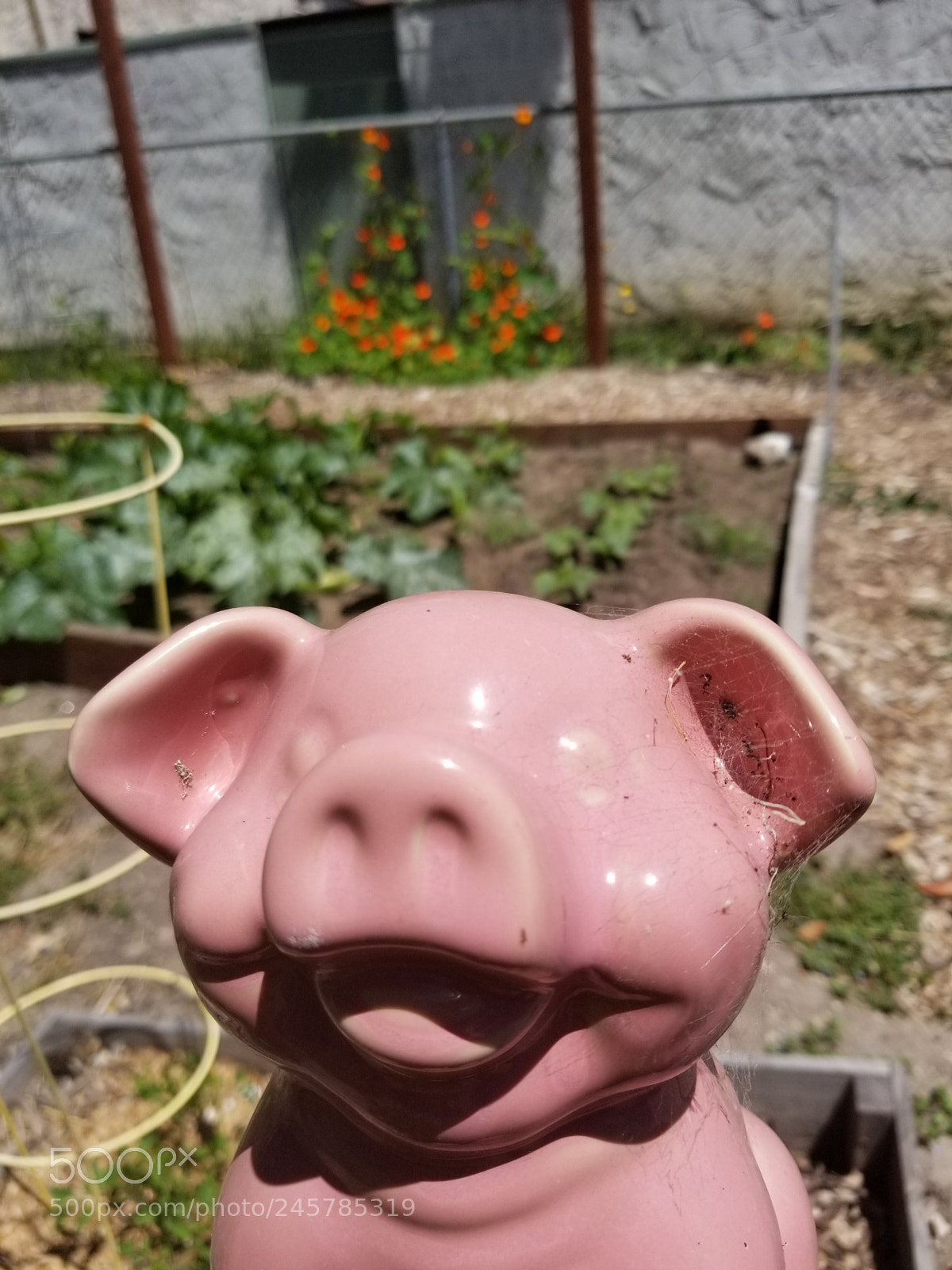 Samsung Galaxy S8 sample photo. Untitled photography