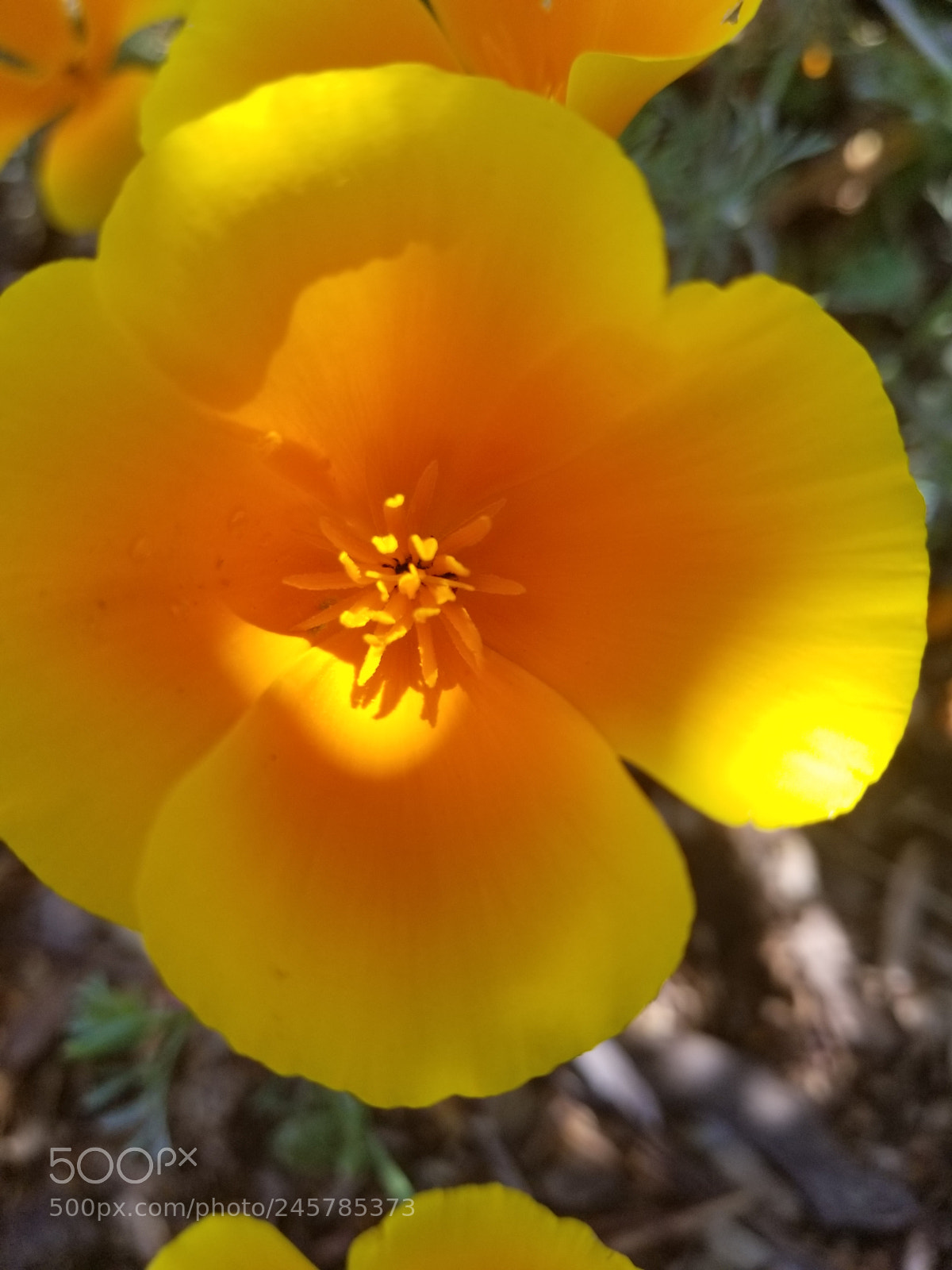Samsung Galaxy S8 sample photo. Untitled photography
