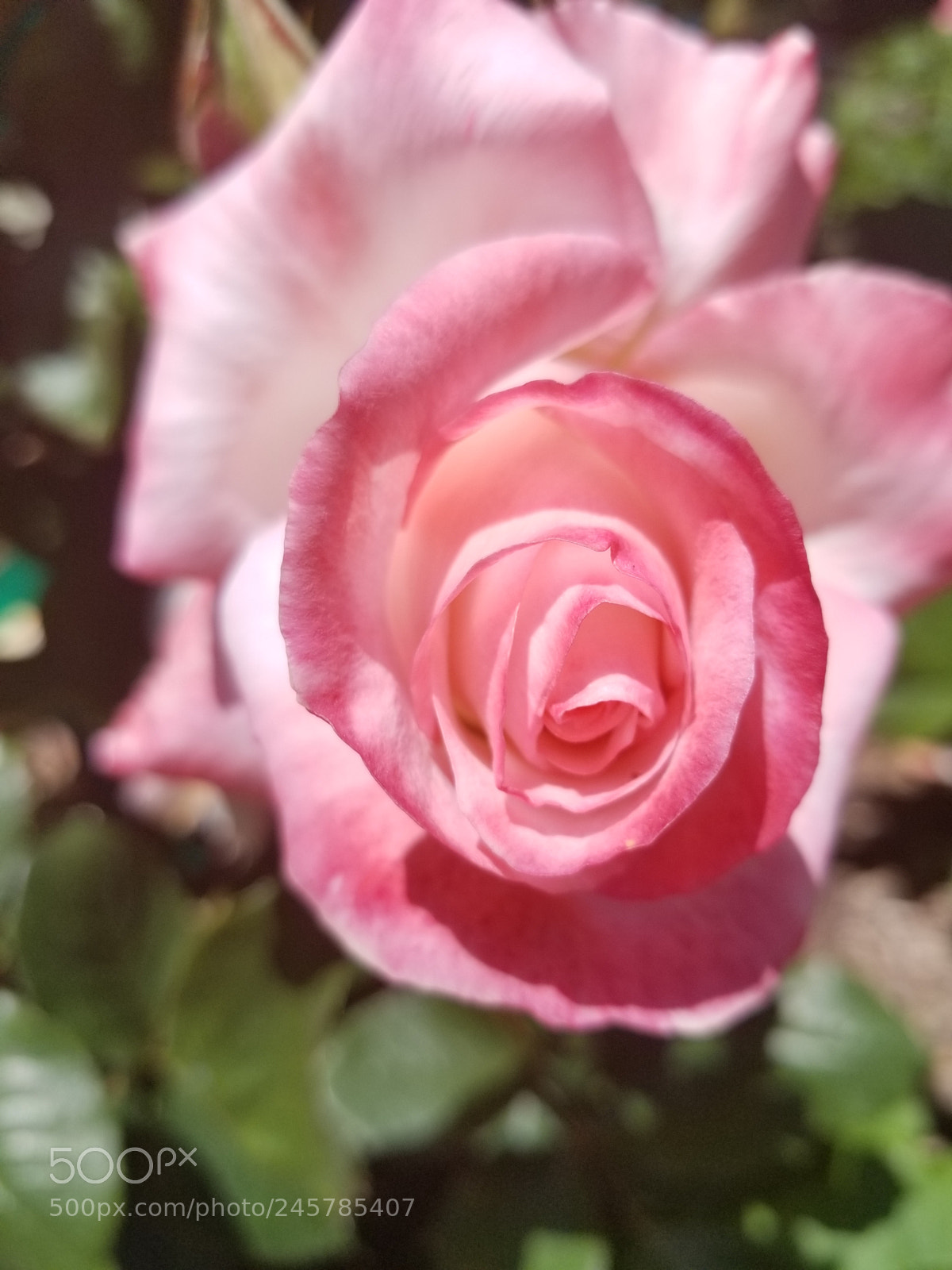 Samsung Galaxy S8 sample photo. Untitled photography